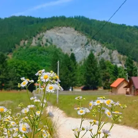 Prázdninový dům Drveni Raj Lopatnice Lopatnica
